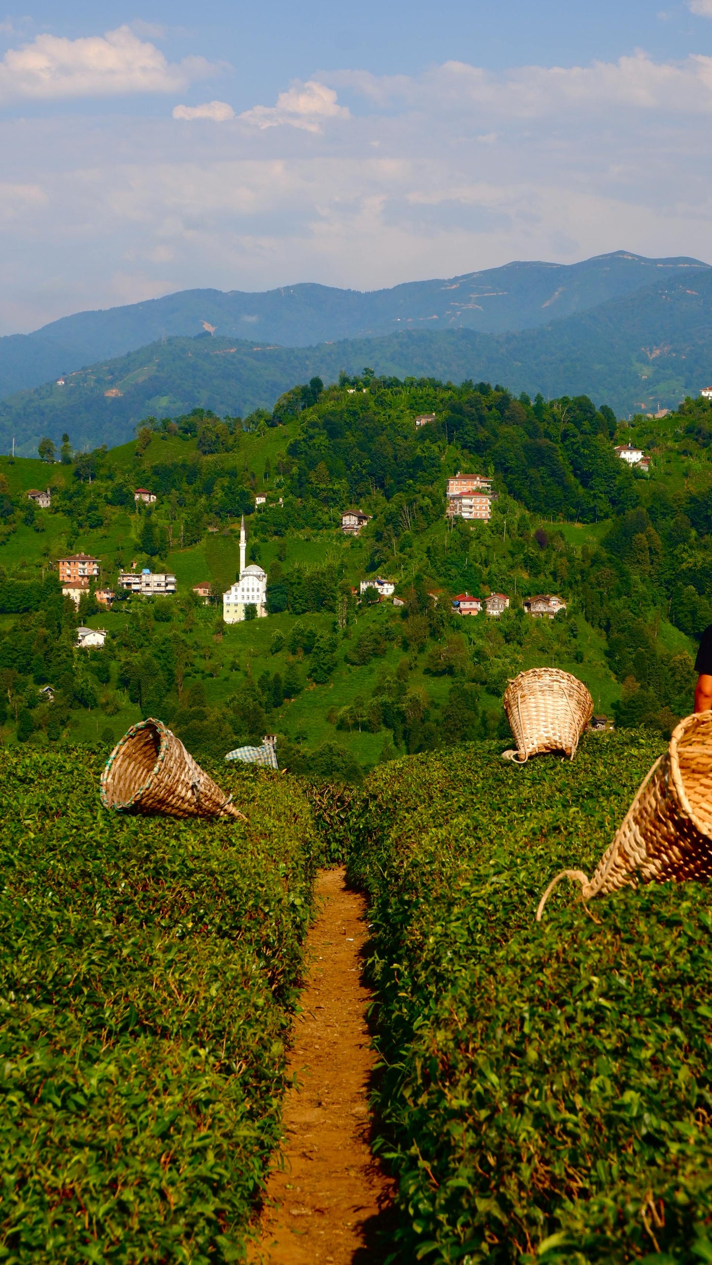 Karadeniz Bölgesi - Denizden Sofraya, Yayladan Mutfağa